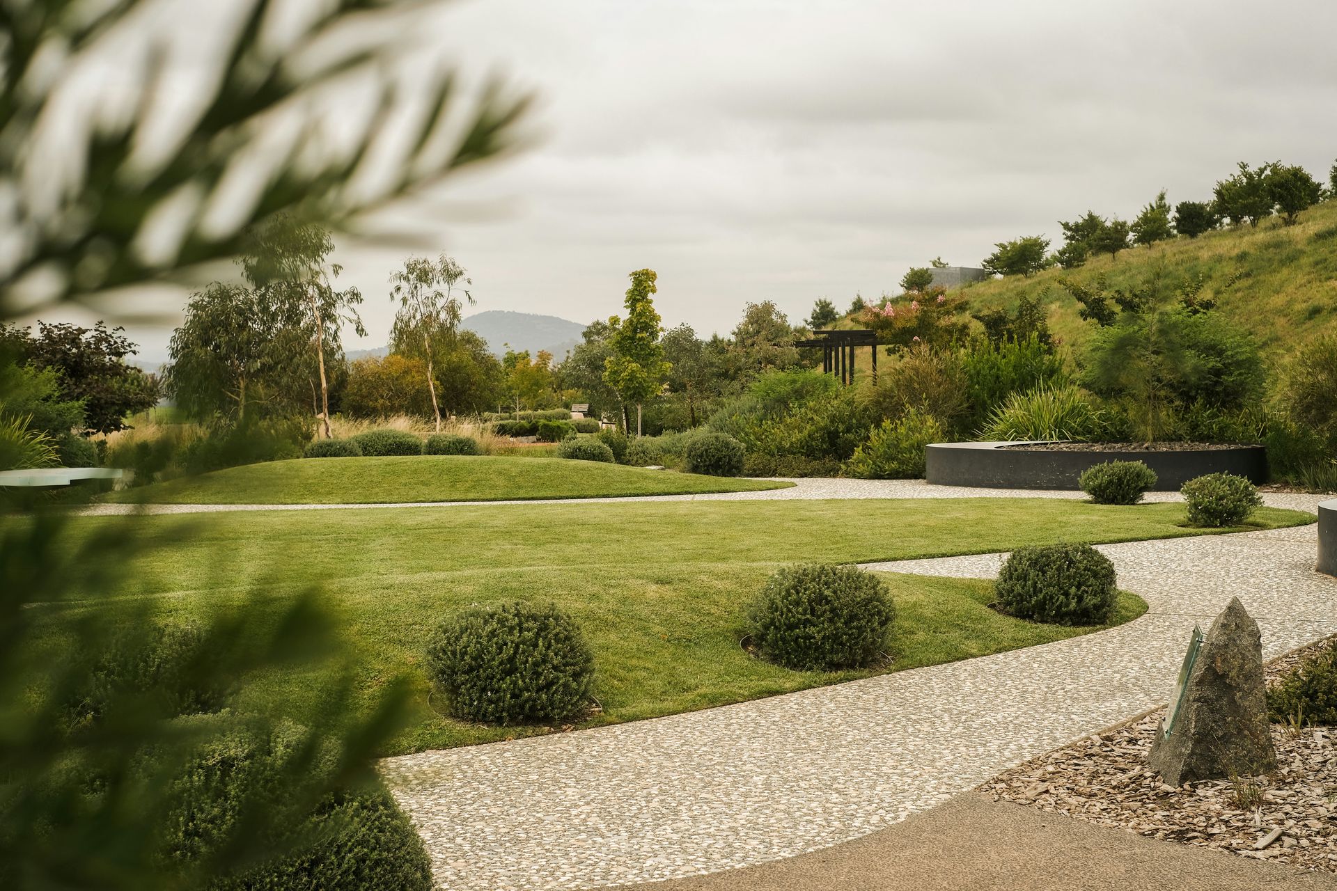a large green lawn with bushes and trees